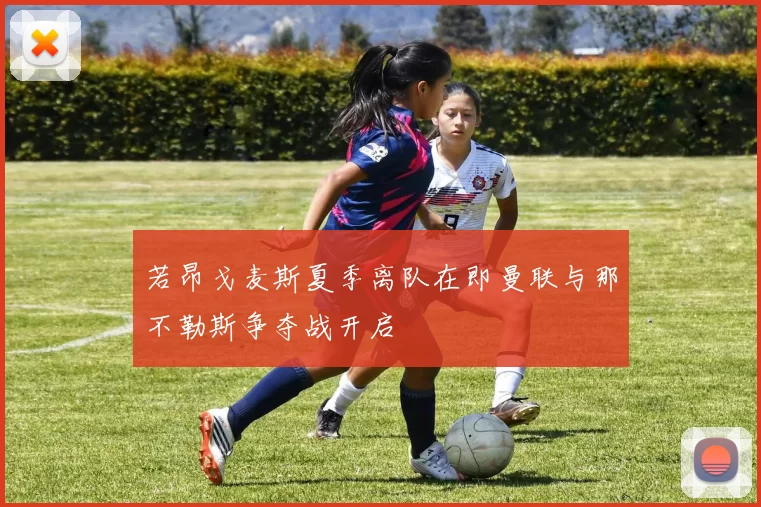 若昂戈麦斯夏季离队在即曼联与那不勒斯争夺战开启